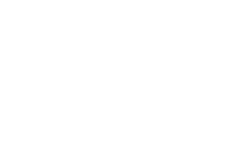 MEGAPOLO