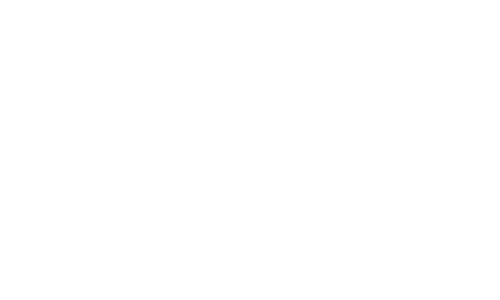 TIAGO BRUNET